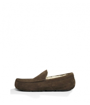 Mens Ascot - Suede Chocolate 5775